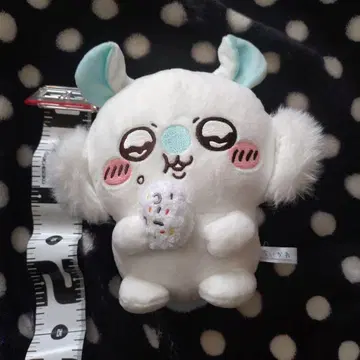 치이카와 모몽가