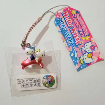 지역 한정 키티