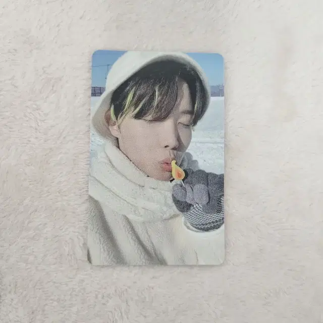 bts 방탄 윈터패키지 윈패 호석 제이홉