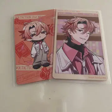 세라프 더즐 가든 포토 카드