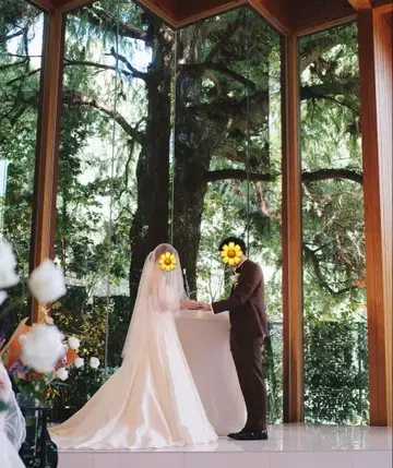 타카미브라이덜 이탈리안 튤