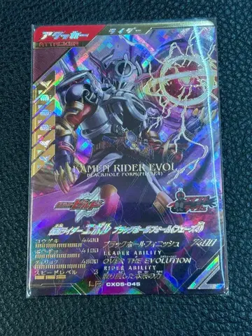 간바레레전즈 에볼 블랙홀 폼 LR