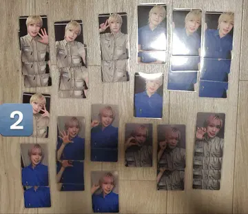 팬더드래곤 트레이딩 카드 토부 동물공원