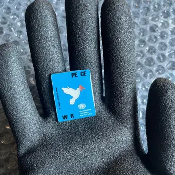 간사이 만박 2025 UN 파빌리온 핀 배지