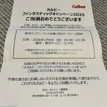 디즈니랜드 대관 2025