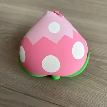 모몬 열매 파우치 포켓몬