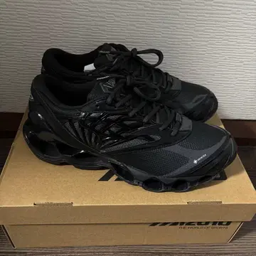 WAVE PROPHECY LS GTX 29cm 방수