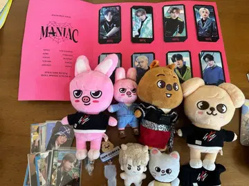 스트레이 키즈 stray kids 봉제 인형 세트 skzoo 덤 포함
