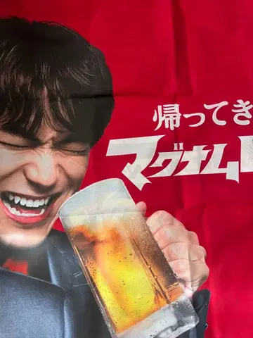 NAOTO 포스터 커튼