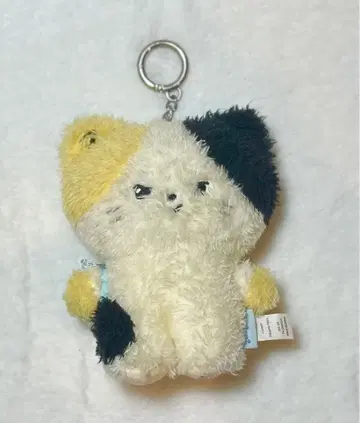 ZB1 zeroni 팝업 리니니 메시지 봉제 인형 키링