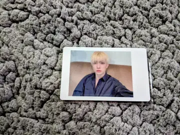 팬더드래곤 요우타