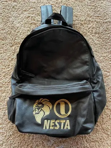 NESTA 백팩