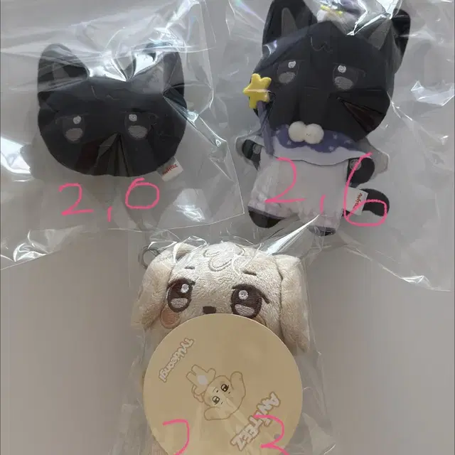 에이티즈 애니티즈 인유판 미국 앨범 / 포카