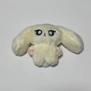 aespa 닝닝  마스터