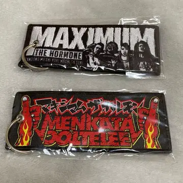 새상품 맥시멈 더 호르몬 플라이트 택 2