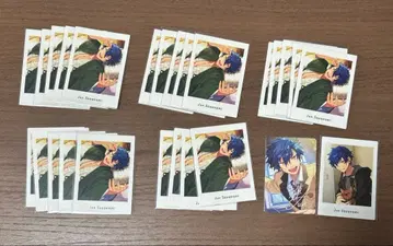 앙스타 파샤츠 준