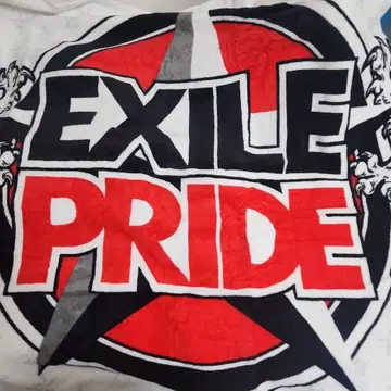 2013 LIVETourEXILEPRIDE 투어 타월