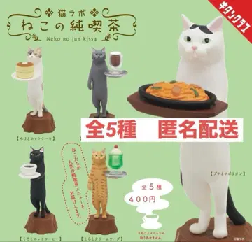 고양이 라보 고양이 순수 카페 전 5종