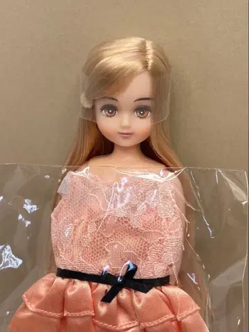 리카짱 캐슬 즐거운 인형 팔레트 F짱 의류 포함