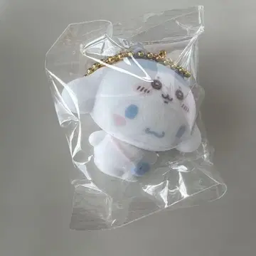 치이카와 (먼작귀) 산리오 하치와레 시나몬