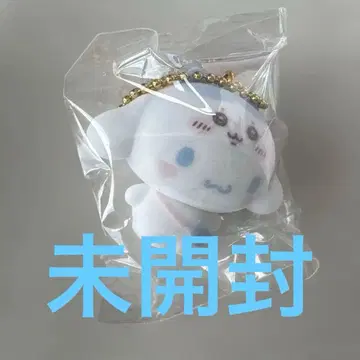 치이카와 산리오 콜라보 하치와레 시나몬