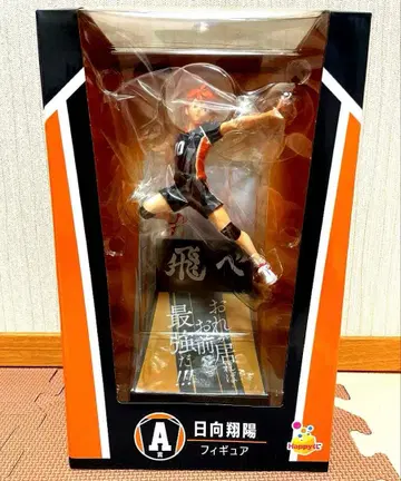 하이큐!! happy 복권 A상 히나타 쇼요