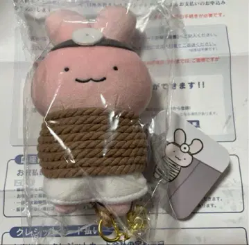 화이트 타이거와 블랙 타이거 도망치는 토끼 선생님 마스코트