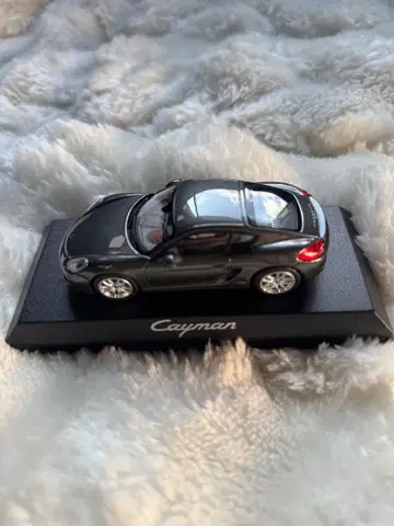 Cayman 미니카 블랙 투명 케이스 포함