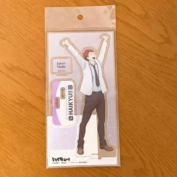 하이큐!! 텐도 사토루 날씨 아크릴 스탠드