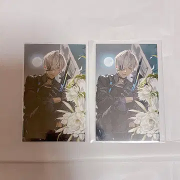 이 브라 노스탤지어 세트