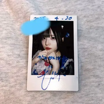 나나코로비야오키 우타하나 텐카 폴라로이드