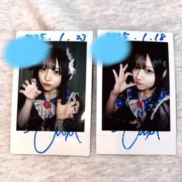 나나코로비야오키 노래꽃 텐카 폴라로이드