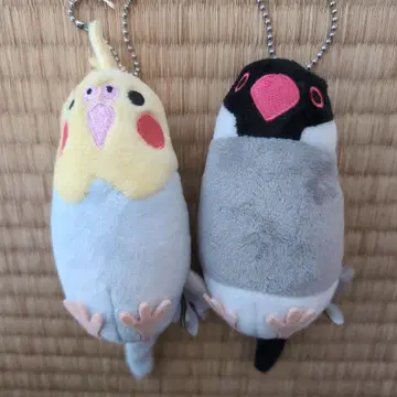 모노콤사 오카메앵무 사쿠라 문조