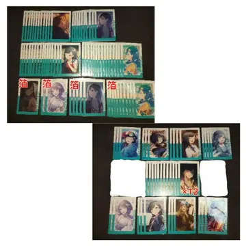 에피카 시라이시 안즈 16A