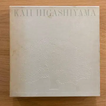 [ 대형 도서 ] 히가시야마 카이이 작품집 산하 편력