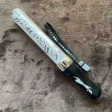 메테오라 응원봉 무도관 라이브