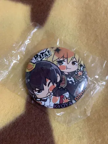 가정교사 히트맨 REBORN! 핏! 캔 배지