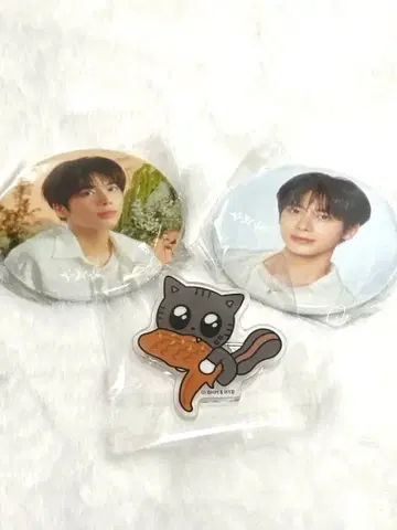 TXT 풀바투 지역 한정 캔뱃지 다고냥 카현