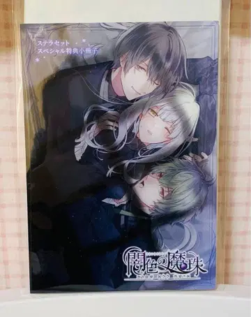 Switch판 어둠색의 마주 스텔라워스 특전 소책자