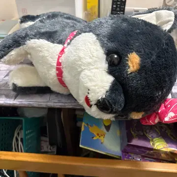 봉제 인형 세트 시바견 스카이블루 곰 비글