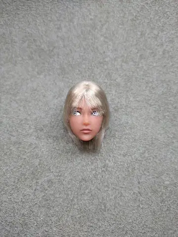 육분의 일 남자 도감 에이트 B2405 헤드만