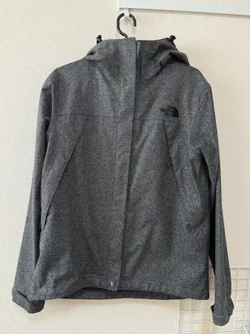 THE NORTH FACE 마운틴 후드티