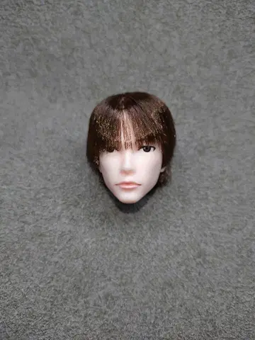 6분의 1 남자 도감 나인 B2207 헤드만