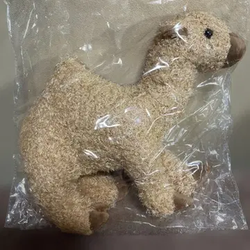 만국 박람회 한정판 카타르 낙타 봉제 인형 새상품 미사용