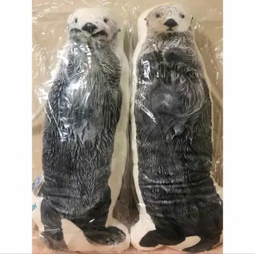 새상품 메이 키라 토바 수족관 랏코 쿠션