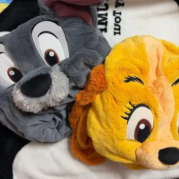 레이디 카드놀이 팬캡