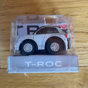 T-ROC 화이트 미니카