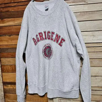 SOFFE 리버스 위브 스웨트 셔츠 트레이닝복 USA제 XXL