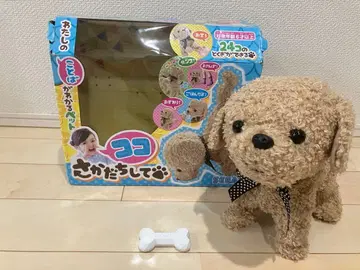 코코사가다치시테 SEGA 봉제 인형 애프리콧