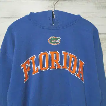 GILDAN 플로리다 게이터즈 칼리지 후드티 USA 구제 의류